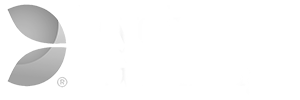 evolution gaming logo provider for online betting site